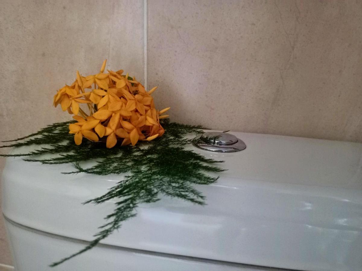 Badamier Self-Catering Διαμέρισμα La Digue Εξωτερικό φωτογραφία